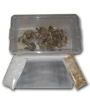 Easy Mushroom Drying Kit