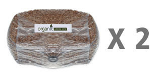 Organic Rye Spawn Bags